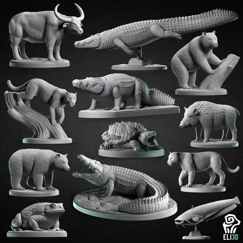 Animals - Swamp Wildlife