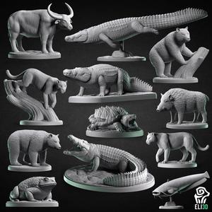 Animals - Swamp Wildlife