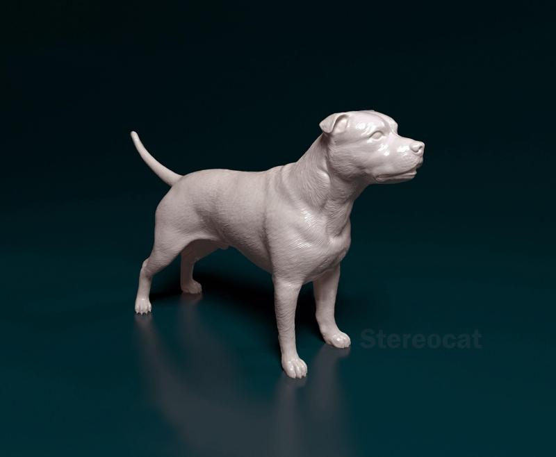 Amstaff