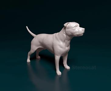 Amstaff