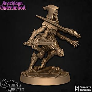 Arachlayn Infiltrator B