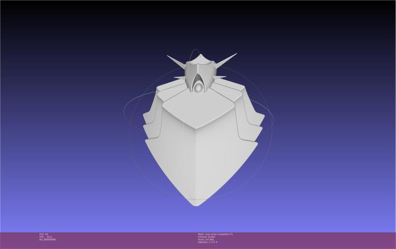 Sield Hero Curse Armor Chestplate