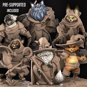 Cats Pack