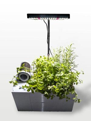 HydroForge - hydroponic station