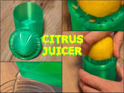 COMPACT CITRUS JUICER  