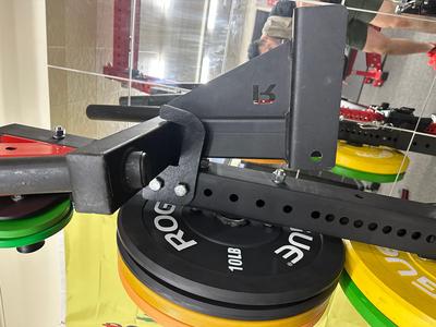  Rogue Fitness Matador dipstation mount home gym