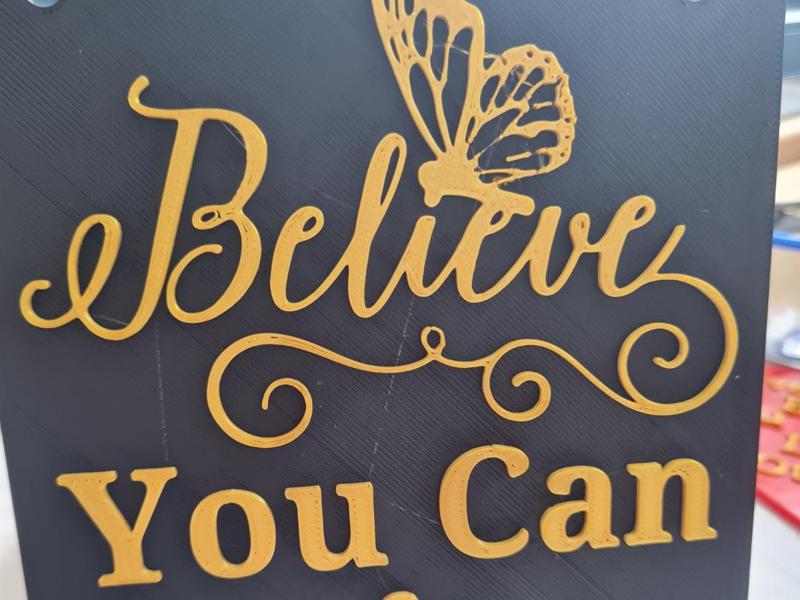Believe You Can & You Will Motivational Plaque