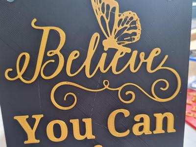 Believe You Can & You Will Motivational Plaque