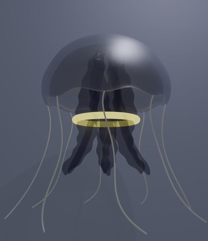 Jellyfish model