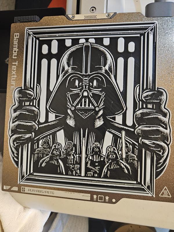 Darth Vader Holding Photo Frame of Vaders