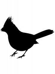 Cardinal Stencil