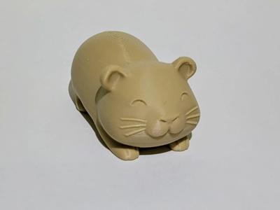 Cute little guinea pig / hamster