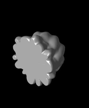 Slime