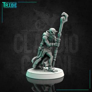 (0084) Male human tiefling firbolg half-orc elf old wizard with magic staff