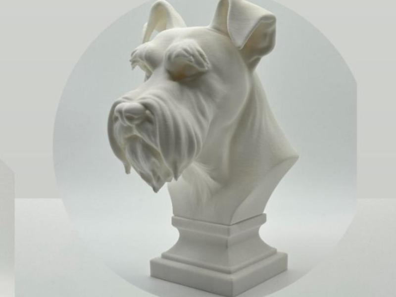 Schnauzer Bust 