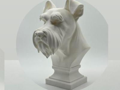 Schnauzer Bust 