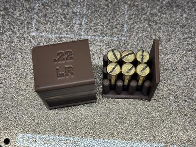 .22 LR box (x6)