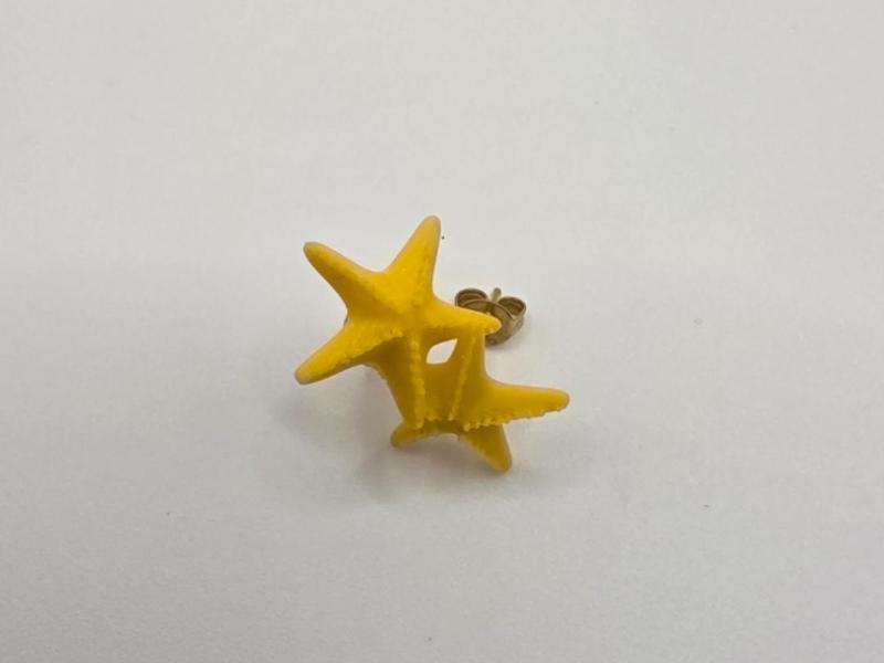 Starfish Earrings – Summer Edition