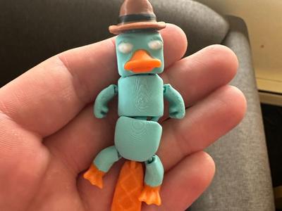 Platypus With Hat