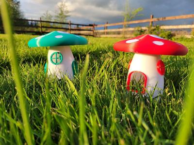 Another mushroom slug & snail trap