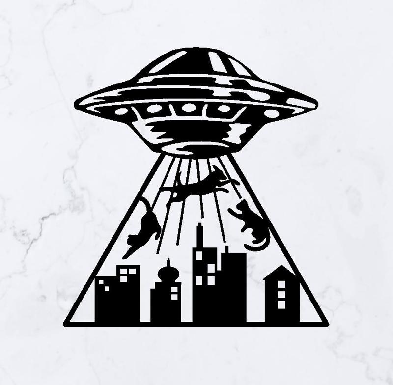 UFO Abduction
