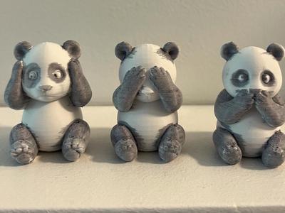 The Three Wise Panda Bears