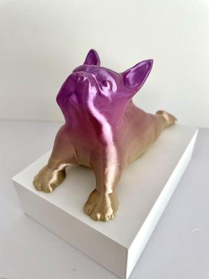 Boston Terrier Dog Yoga Pose 3