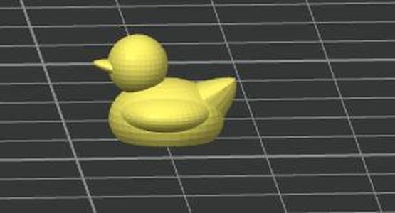 duck