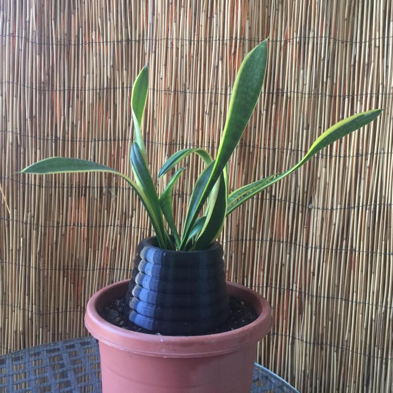 Plant Holder Base