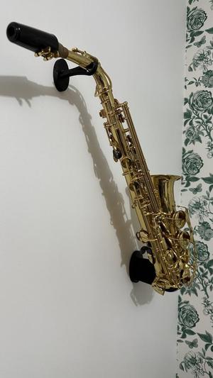 Screw cover for saxophone wall mount