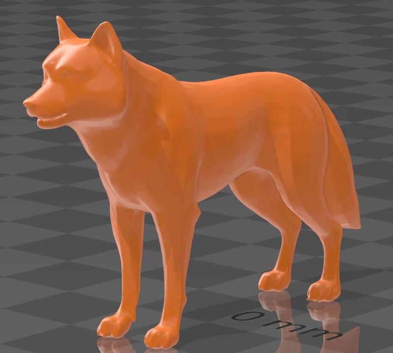 Perro husky-husky dog