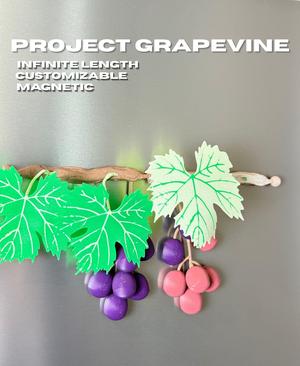 Project GrapeVine