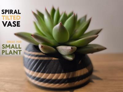 Designer succulent planter