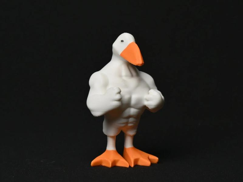 Strong Duck~ Fitness Duck