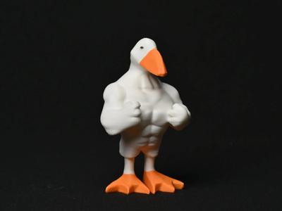 Strong Duck~ Fitness Duck