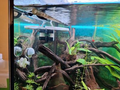 BioCo2 Dispenser ~180L