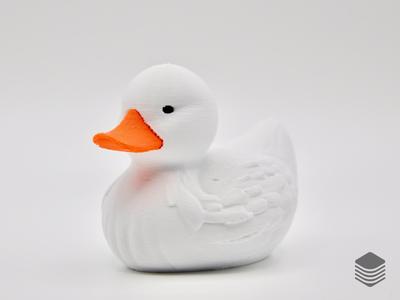 Pekin Duck