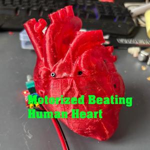 Beating Human Heart Remake