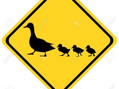 Duck Crossing Sign Yellow and Black