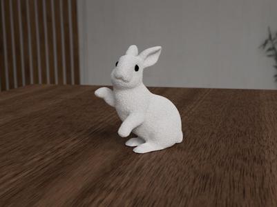 Fluffy bunny