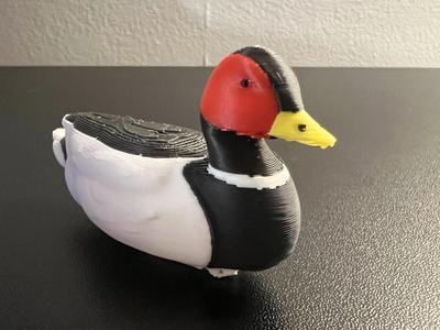 Duck Decoy