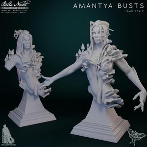 Amantya Busts | 75mm | PreSupported
