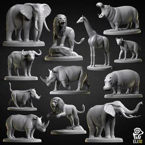 Animals  - Savanna Wildlife