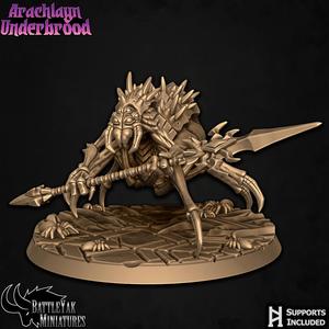 Arachlayn Truebreed A