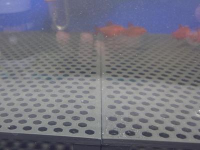 Aquarium Breeding Net, Spawning Trap, and Breeding Grate + Substrate