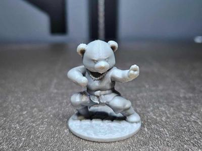 Teddy Bear Monk