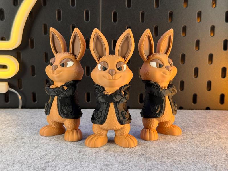 Cool Bunny