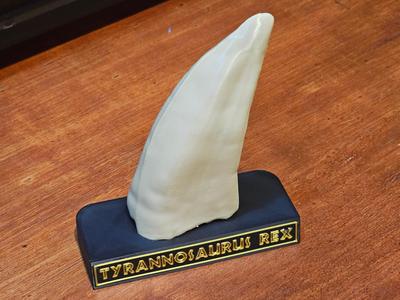 Tyrannosaurus Rex Tooth Display