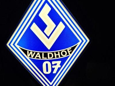 Waldhof Mannheim Lamp