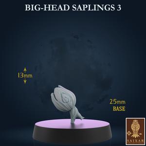 Big Head Saplings - 3 Poses